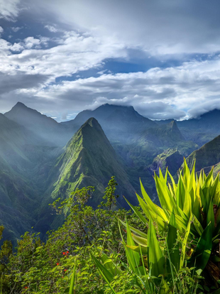 Art de vivre à la réunionnaise, « vivre ensemble à la Réunion », promotion de la langue créole, Babel Balades a voulu en savoir plus en interrogeant les habitants, avec la complicité de Martine Jaulin (résidente de longue date sur l’île), qu’elle en soit chaleureusement remerciée.
