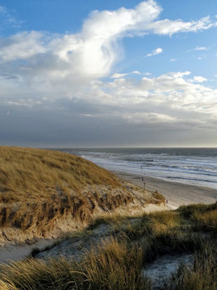 Située à quelques encablures de la ville de Knokke-Heist, à la frontière belgo-néerlandaise, la réserve naturelle du Zwin est formée d'un ancien bras de la mer du nord, aujourd'hui ensablé.