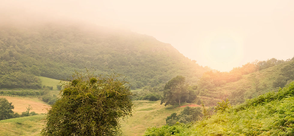 En marchant ... Petite rhétorique itinérante