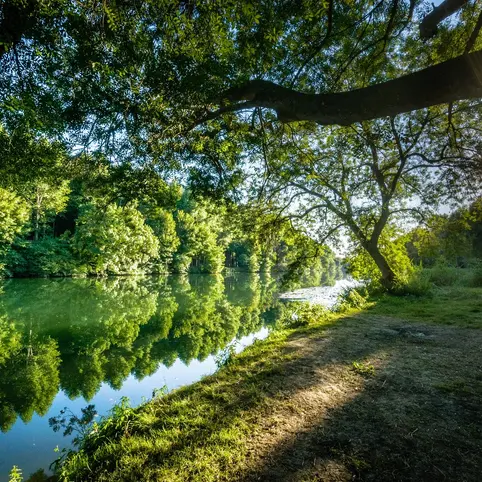 Depuis sa mise en circulation  de façon progressive en  1867 par la bien nommée Compagnie des chemins de fer de la Charente  la ligne constitue un irremplaçable trait d'union entre l'arrière pays charentais, appelée « Charente limousine »  et le littoral atlantique, et cela depuis depuis longtemps.