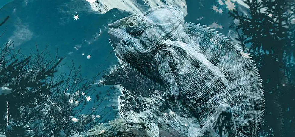 Festival international Autrans cinéma et culture