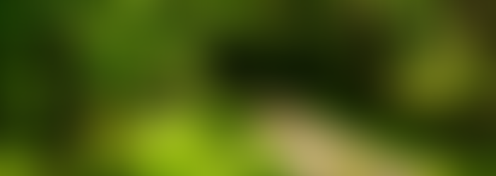 En marche… sur les chemins de la Via Garona