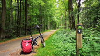 Lâchez la pédale d’accélérateur et découvrez la Wallonie en mode slow. Explorez la région avec des transports doux : en train, à vélo et à pied.