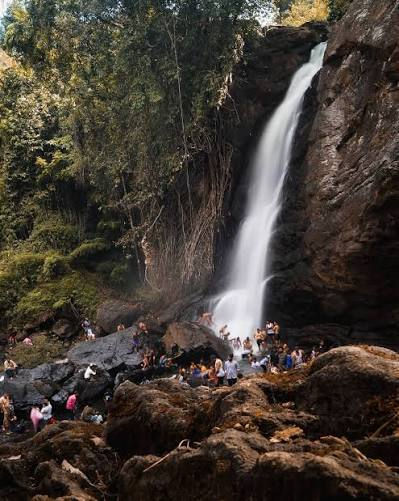 soochipara falls.jpg