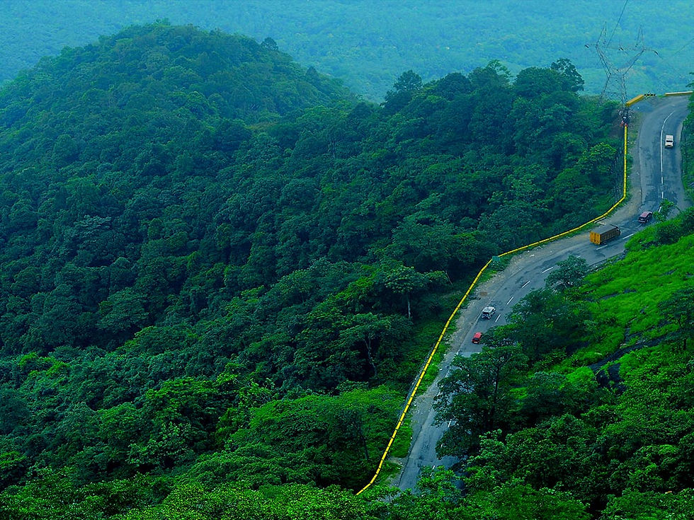 waynadu-1024x768.jpg