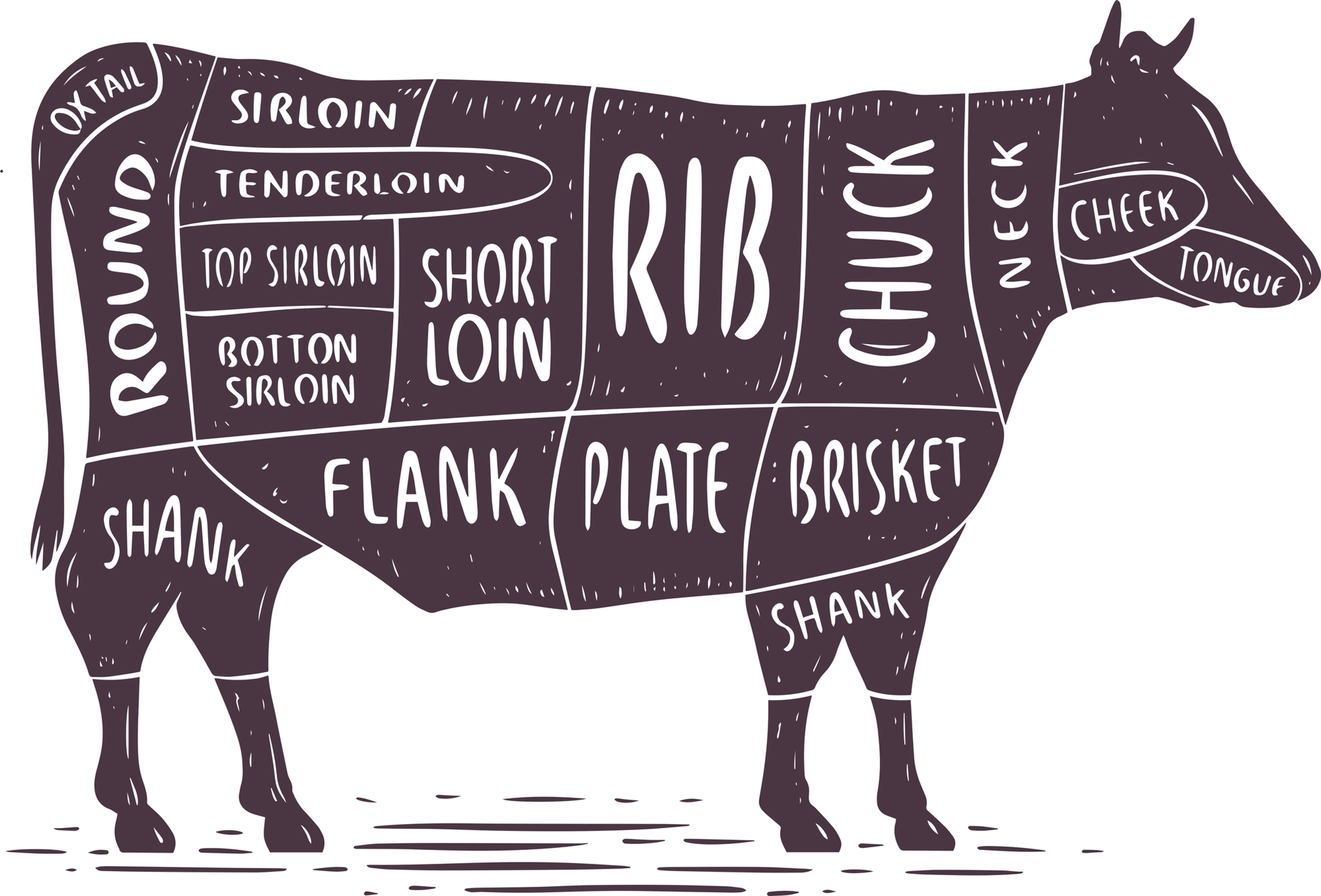 Beef by the quarter