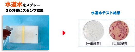 水道水でのスプレーテスト