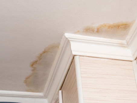 Moisture and Leak Detection Queenstown