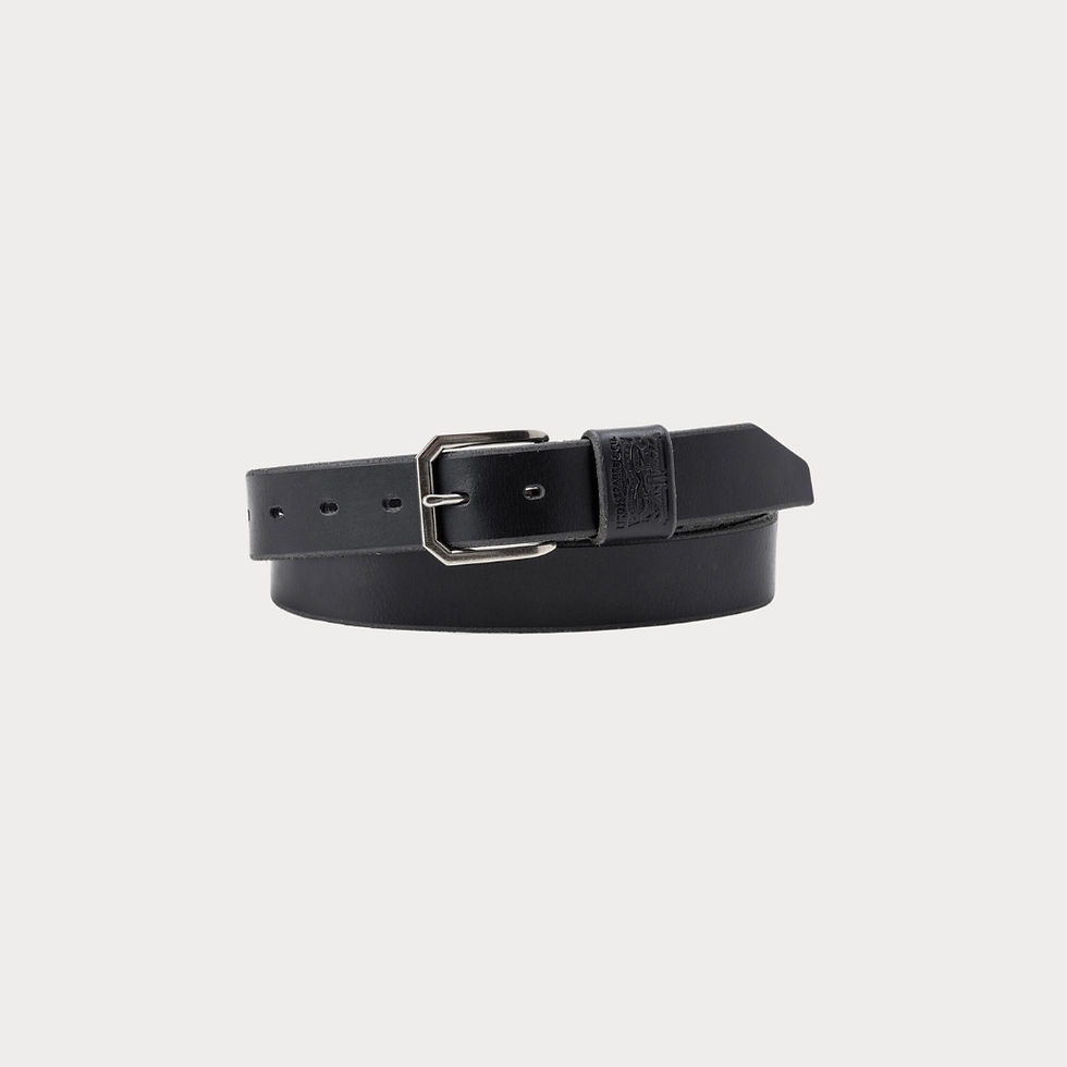 Thumbnail: Men's Wide Loop Two Horse Belt