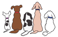 logo%2520-%2520Copy%2520(1)_edited_edite
