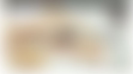 Cuidados que necesita una Boa en cautividad