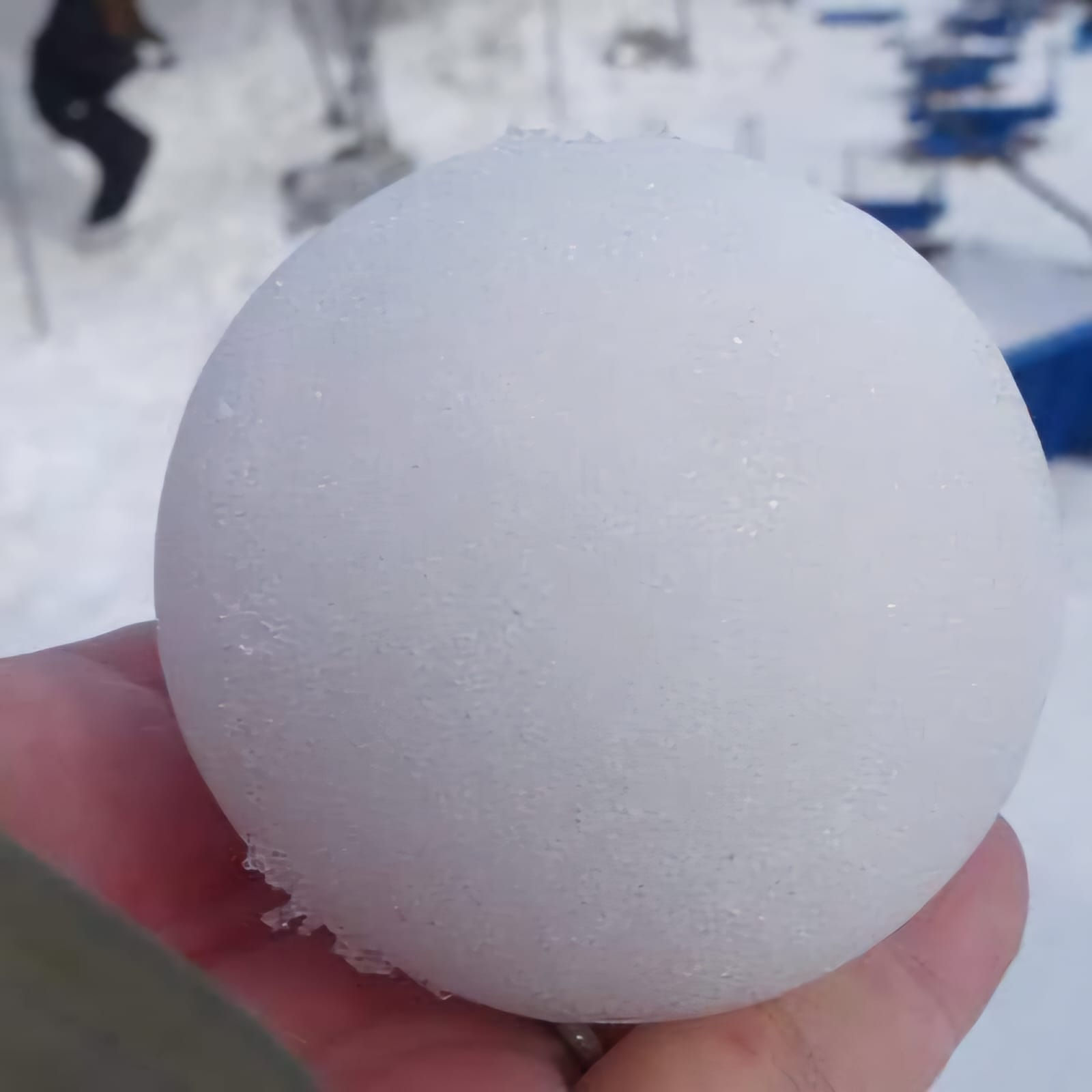 真雪體驗 - 遊戲攤位