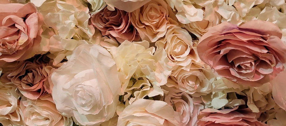 Champagne and blush flower wall backdrop close-up with ivory flowers.