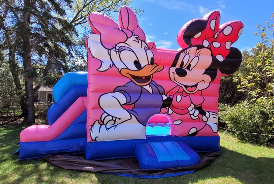 Themed Bouncy Castle Rental