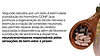 IBOGAÍNA (6).png