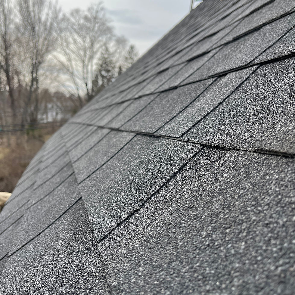 asphalt shingle roof