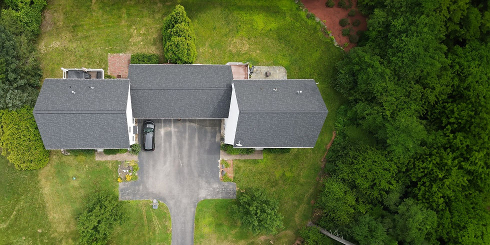 asphalt shingles