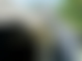 What is the Best Roof Ventilation System for Your Roof?