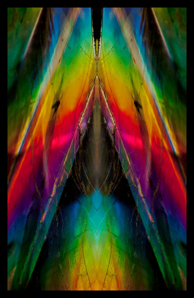 "Manifesting the Aura" G Fellner