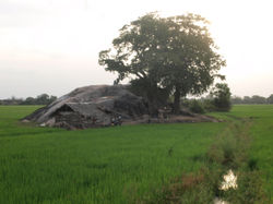 Picasa - P6196371.jpg