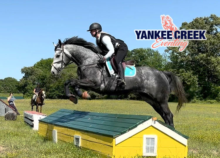Equestrian horse and rider jumping miniature house.