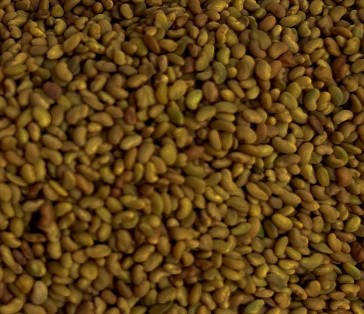 Alfalfa Seed - Gem State Seed - Idaho