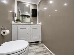 Restroom trailer interior with flushing toilet, sink, mirror and lighting