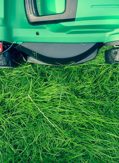 Lawn Mower