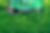 Lawn Mower