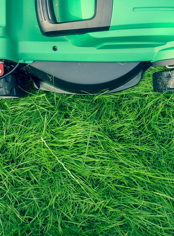 Lawn Mower