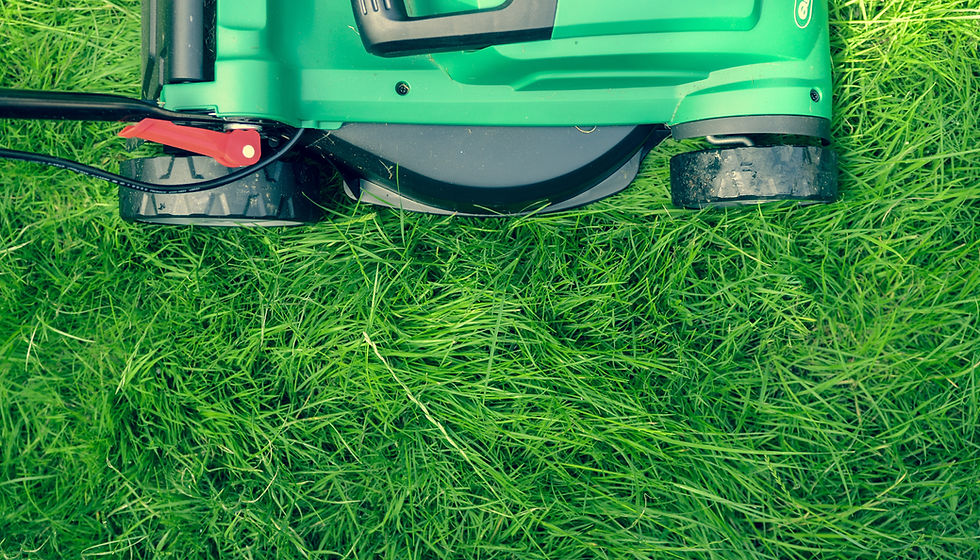 Lawn Mower