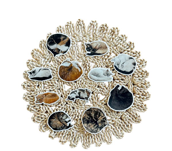 cat colletion image (1)_edited.png