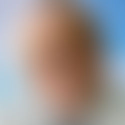 Monsieur Yves Legault