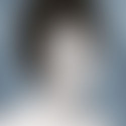 Mme Jacqueline Brunet Camirand