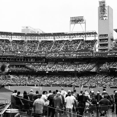 The Crowd 