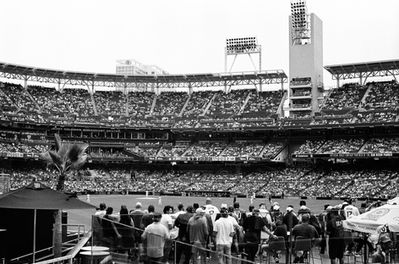 The Crowd 