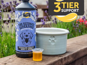 Proflax 3-Tier Support System