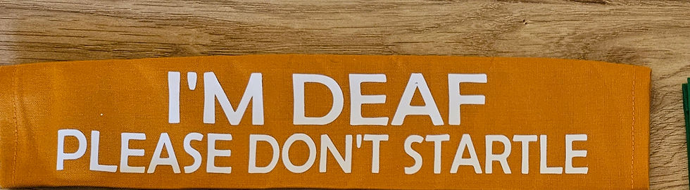 Thumbnail: Eco-friendly dog lead cover