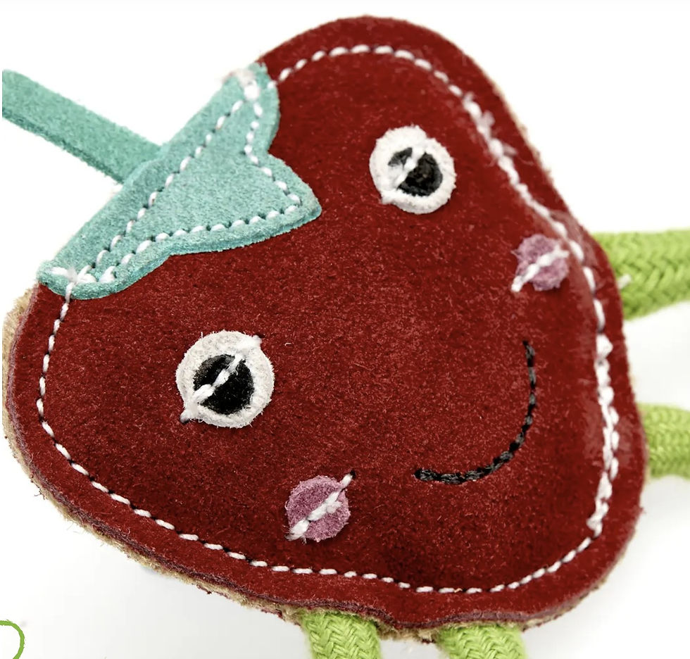 Thumbnail: Strawberry dog toy