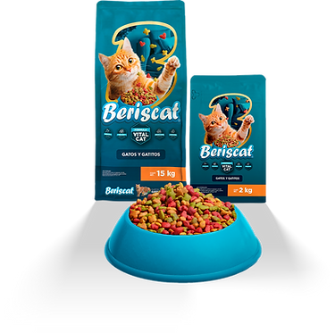 BERISCAT 2.png