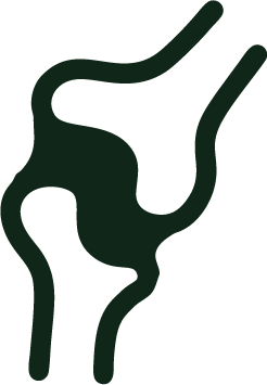 ARTUCULAR.png