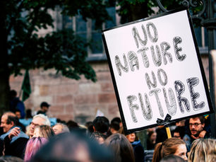 L'avenir de l'Alimentation : Clones et OGM dans nos Assiettes, Révolution ou Risque ?