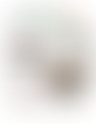 Food Pantry News, August 2025