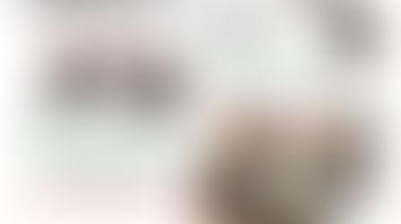 Food Pantry News, August 2025