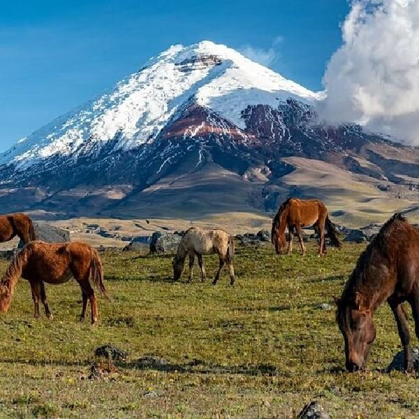 Ecuador: From Quito to Cuenca