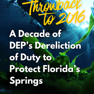 A Decade of DEP’s Dereliction of Duty to Protect Florida’s Springs