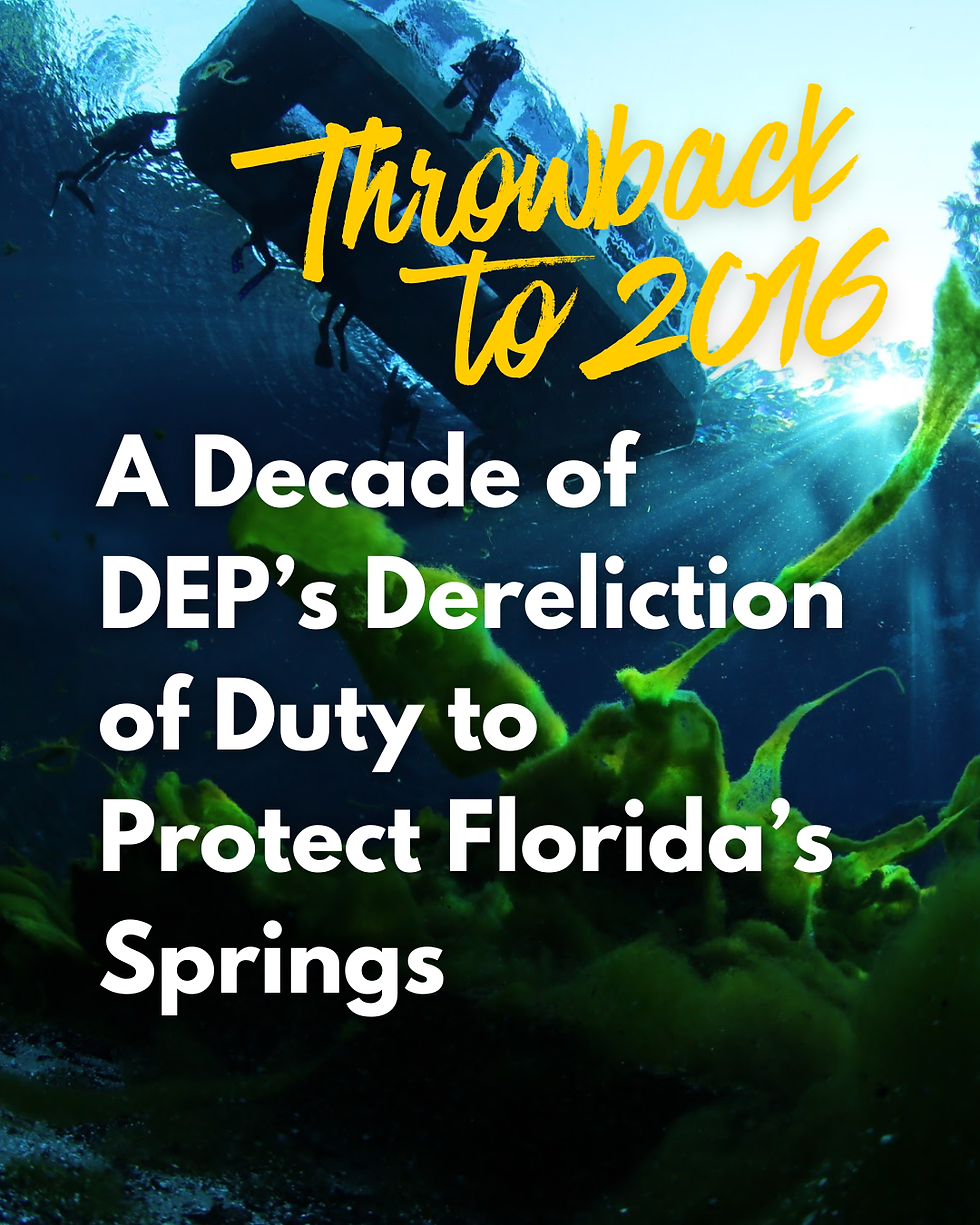 A Decade of DEP’s Dereliction of Duty to Protect Florida’s Springs 