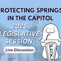 2026 Legislative Session Live Discussion-Protecting Springs in the Capitol: March Webinar