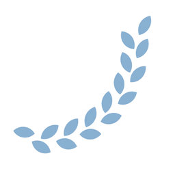 icon.png