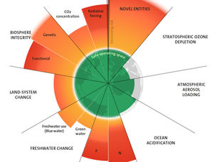 #12 Precedence of diversity over uniformity